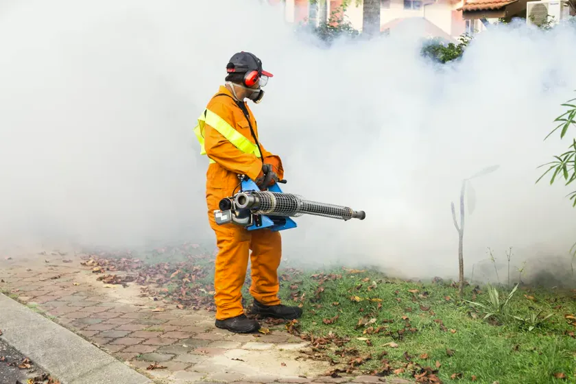 Control del mosquito tigre en Viladecans — BioPest