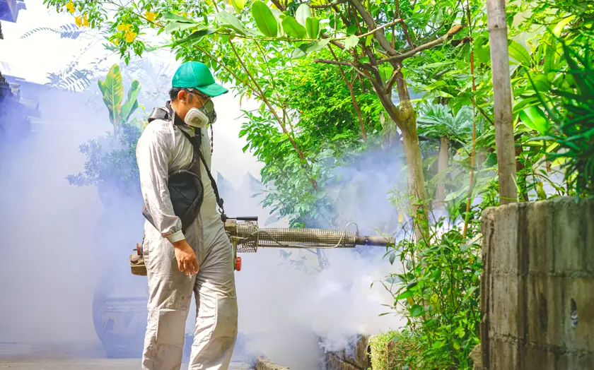 Mosquito tigre en la terraza: cómo acabar con los focos